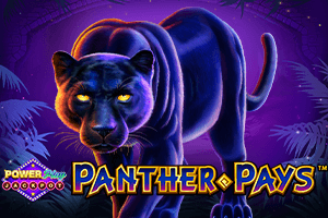 Panther Pays Power Play Jackpot