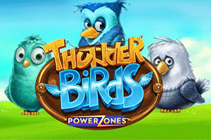 Power Zones Thunder Birds